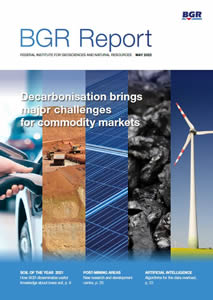 Cover BGR Report 2021