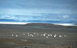 Geologist camp on the Canadian banks of Nares Strait