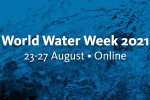Stockholm World Water Week 2021: Two events with BGR participation