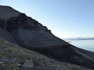Kohlenwasserstoffbildung eines Muttergesteins aus Spitzbergen
