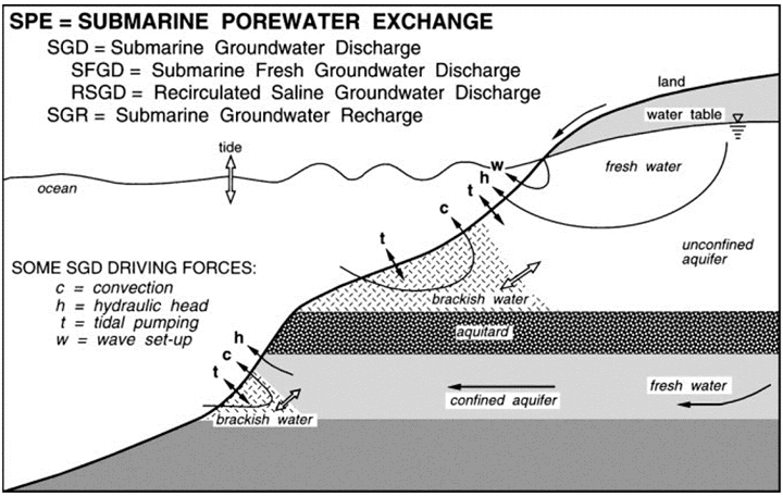 Schematic depiction (no scale) of processes associated with SGD. Arrows indicate fluid movement 