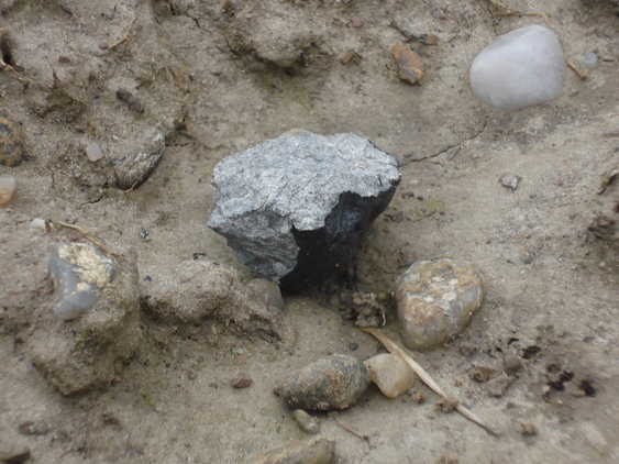Stubenberg Fragment M1b von 23,58 g Masse, das bereits 6 Tage nach dem Meteoritenfall gefunden werden konnte