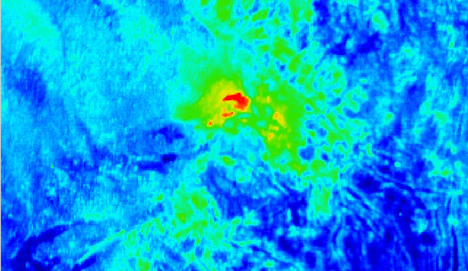 Thermalbild des Fumarolenfeldes MF-3 (rötliche Flächen im mittleren Bildbereich), Bodenauflösung des Thermalbildes: 5 m
