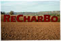 ReCharBo-Logo