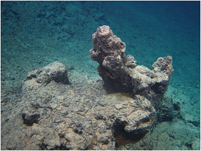 Metallsulfidschlot am Meeresboden