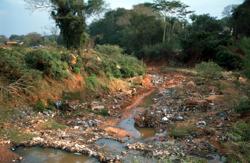 Ungeregelte Entsorgung von Abfällen führt vor allem in den dichter besiedelten Landesteilen Paraguays zu einer zunehmenden Belastung der Umwelt. 