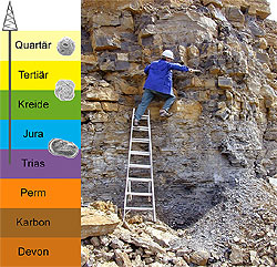 Sampling for paleontological and biostratigraphical analysis