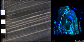 Left: Sediment core with abundant organic carbon; Right: Fluorescent hydrocarbon inclusions in a rock sample