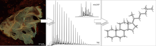 Microscopic image of an algae from a sedimentary rock and the chromatographic and mass spectrometric identification of a biomarker 