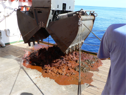 Geological samples of the seabed