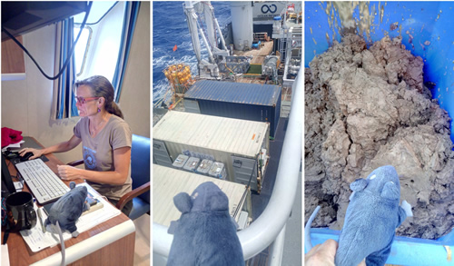 Lab rat visiting chief scientist Annemiek Vink. Lab rat looking at the main deck and examining the remains of the seabed