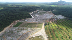 Rehabilitation of a former tin mining area in Indonesia