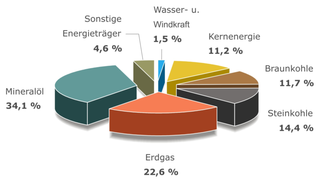 Primary Energy Consumption in Germany 2007